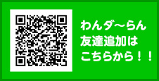 banner_line_qr