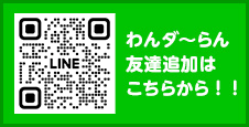 banner_line_qr_2025