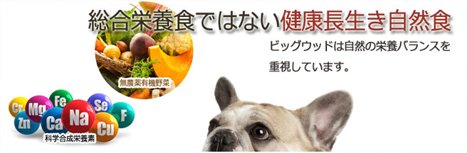 dog_food_09