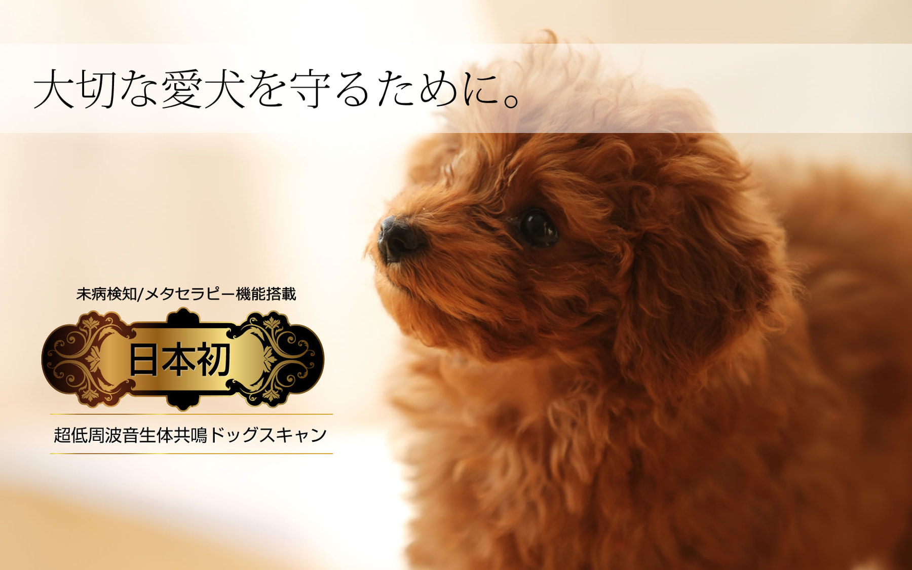 dogscan_slide05